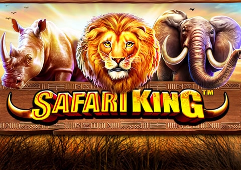 Safari King Video Slot Review