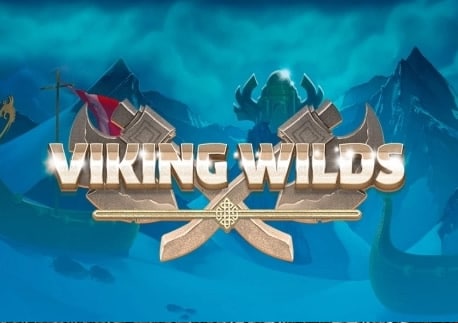 Viking Wilds Video Slot Review