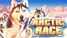 Arctic Race Video Slot Review