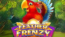 Feather Frenzy Video Slot Review