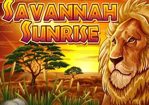 Savannah Sunrise Video Slot Review