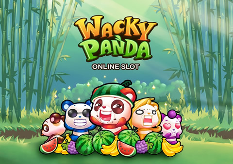 Wacky Panda Video Slot Review