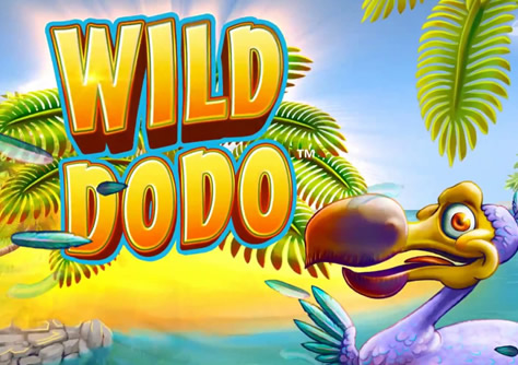 Wild Dodo Video Slot Review