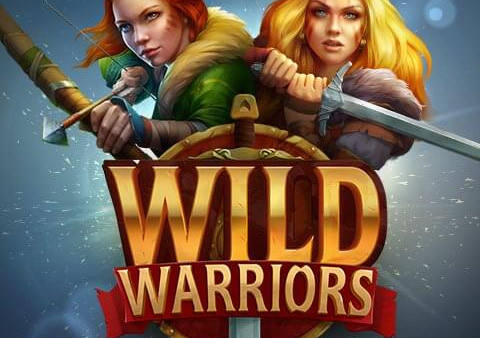 Wild Warriors Video Slot Review