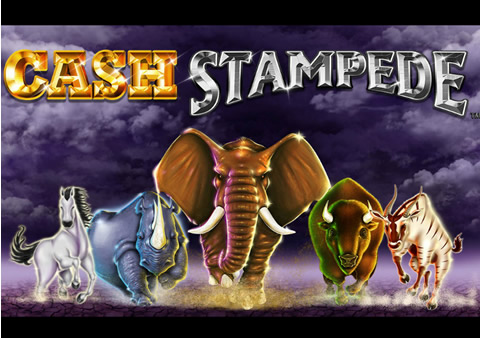 Cash Stampede Video Slot Review