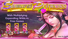 Samurai Princess Video Slot Review