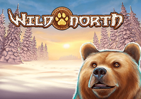 Wild North Video Slot Review