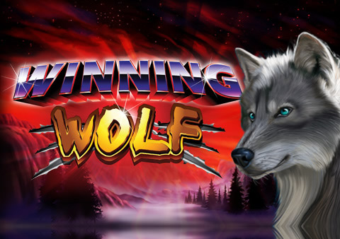 Winning Wolf Video Slot Review