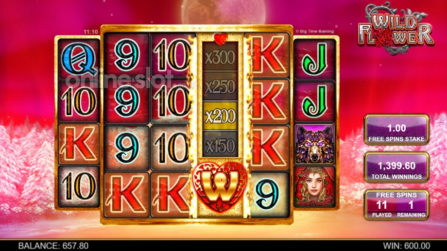 wild flower slot mega multiplier free spins feature