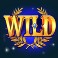 age of the gods slot wild symbol
