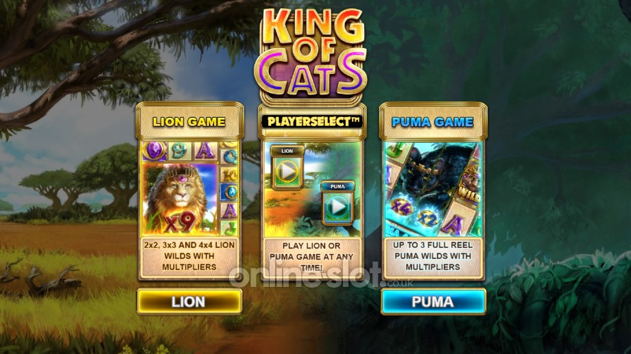 king of cats megaways slot playerselect feature