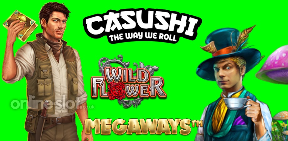 casushi casino slots