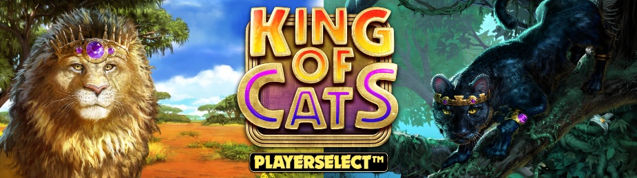 king of cats megaways slot big time gaming