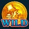 rainbow riches slot wild symbol