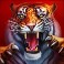 rome the golden age slot tiger symbol