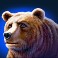 buffalo blitz 2 slot bear symbol