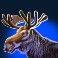 buffalo blitz 2 slot moose symbol