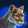 buffalo blitz 2 slot puma symbol
