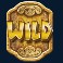 jackpot giant slot wild symbol