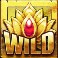 katmandu gold slot gold lotus wild symbol