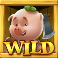 big bad wolf megaways slot piggy wild 2 symbol