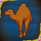 arabian nights slot camel symbol