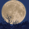 full moon fortunes slot full moon scatter symbol