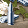 full moon fortunes slot silver bullet symbol