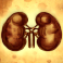 mental slot lungs symbol