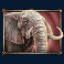 savanna roar slot elephant symbol