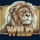 savanna roar slot lion wild symbol