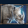 savanna roar slot rhino symbol