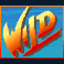 street fighter II the world warrior slot wild symbol