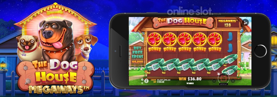 the dog house megaways mobile slot