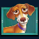 the dog house megaways slot dachshund symbol