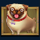 the dog house megaways slot pug symbol