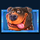 the dog house megaways slot rottweiler symbol