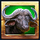 zulu gold slot wildebeest symbol