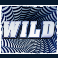 beetlejuice megaways slot wild symbol