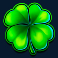cash bonanza slot clover symbol