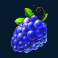 cash bonanza slot grape symbol
