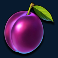 cash bonanza slot plum symbol