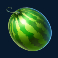 cash bonanza slot watermelon symbol