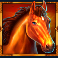 mystic chief slot mustang symbol
