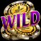 playboy fortunes hyperspins slot wild symbol