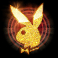 playboy fortunes hyperspins slot playboy scatter symbol