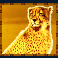 rumble rhino megaways slot cheetah symbol