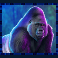 rumble rhino megaways slot gorilla symbol