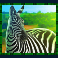 rumble rhino megaways slot zebra symbol