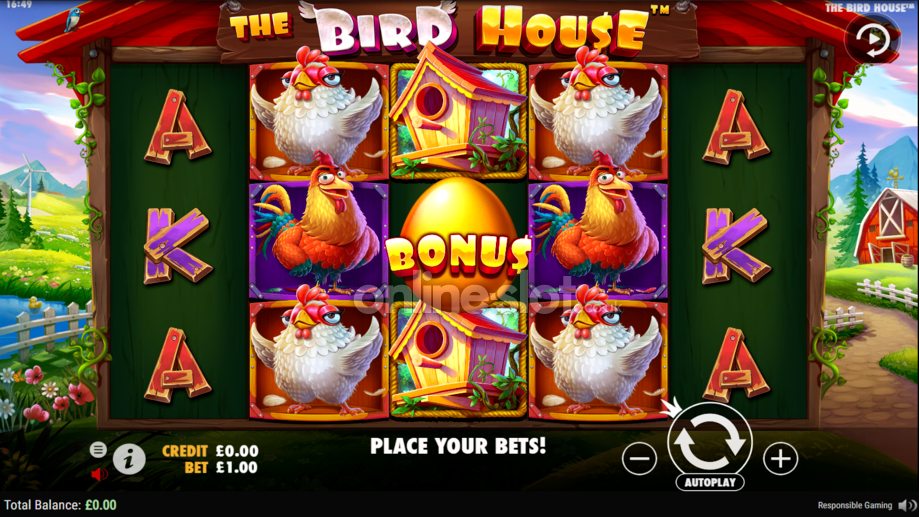 the bird house slot base game